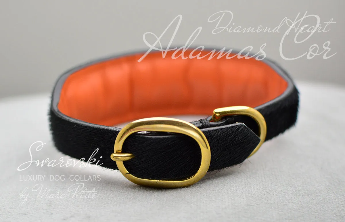 Adamas Cor