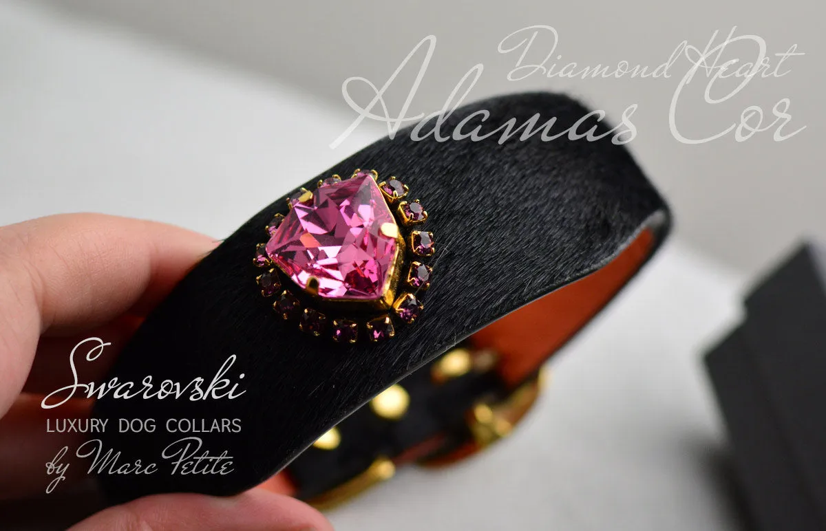 Adamas Cor