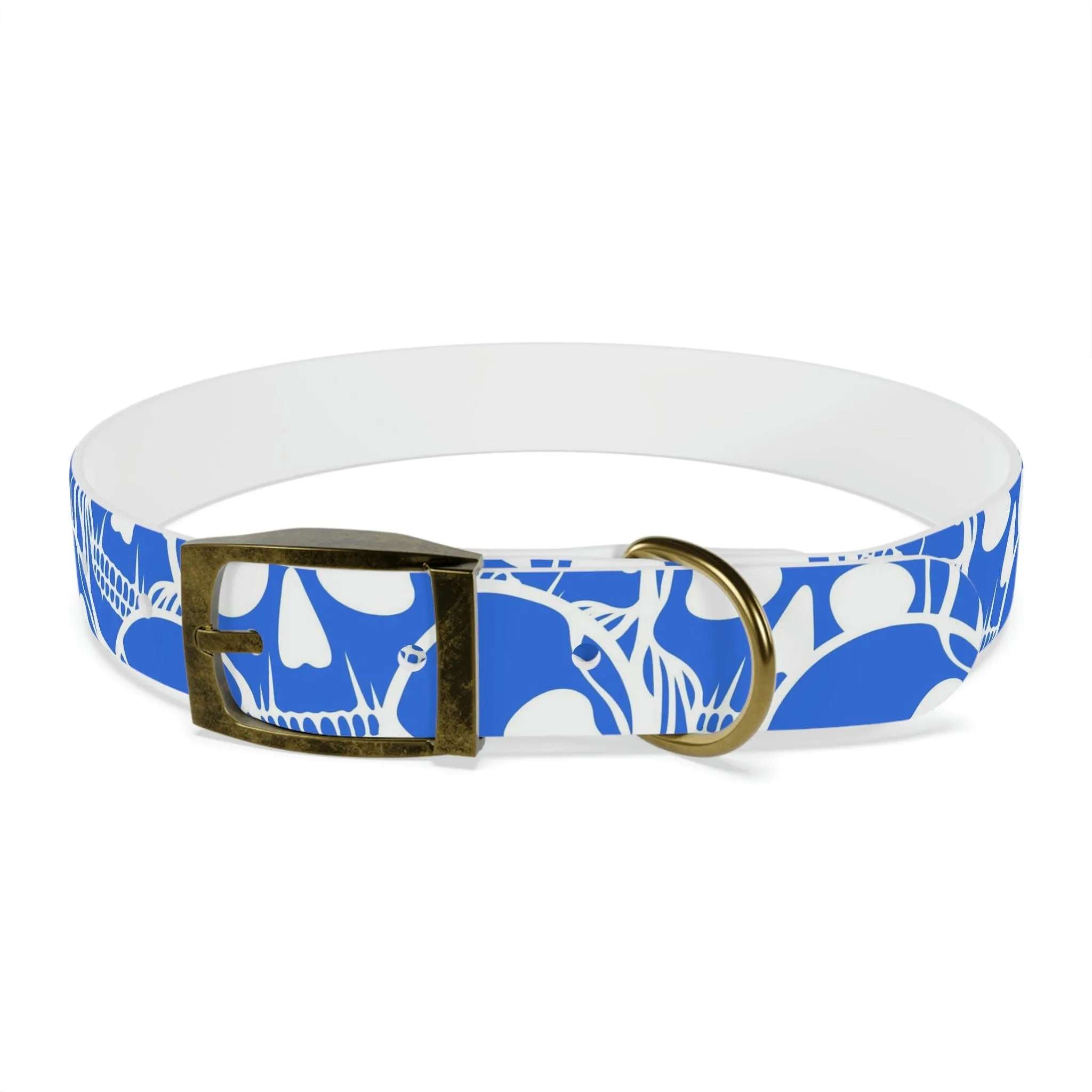 Blue Skull Dog Collar Four Color Buckles