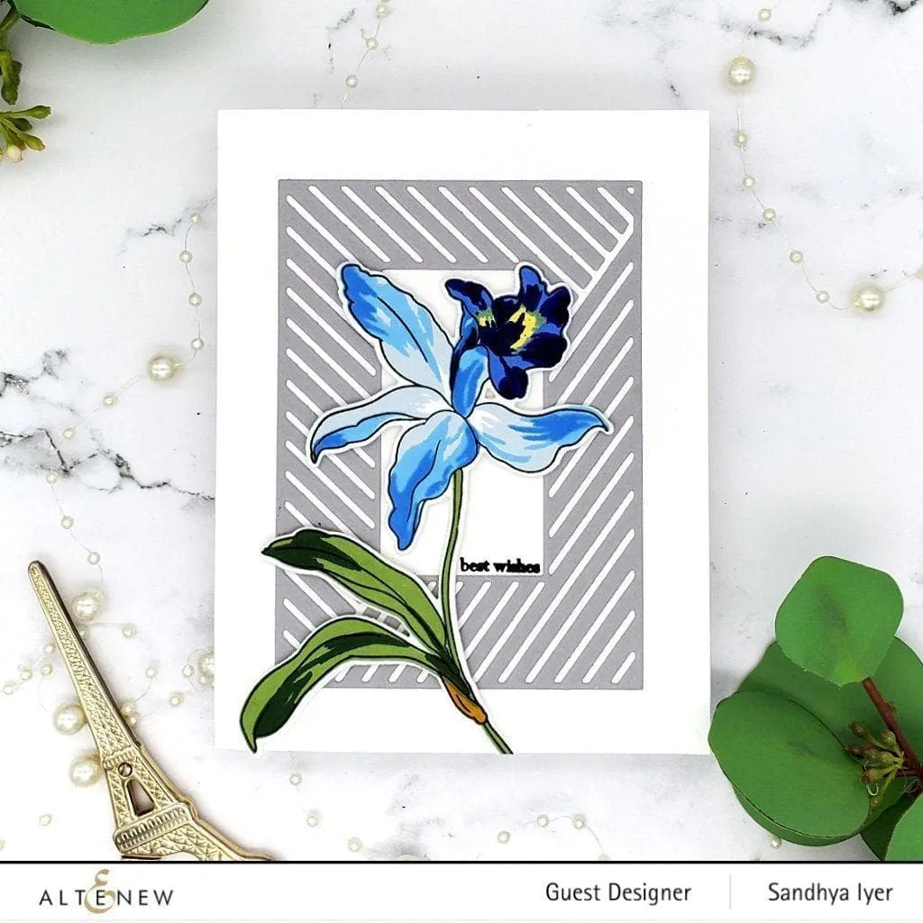 Build-A-Flower: Laelia Layering Stamp & Die Set