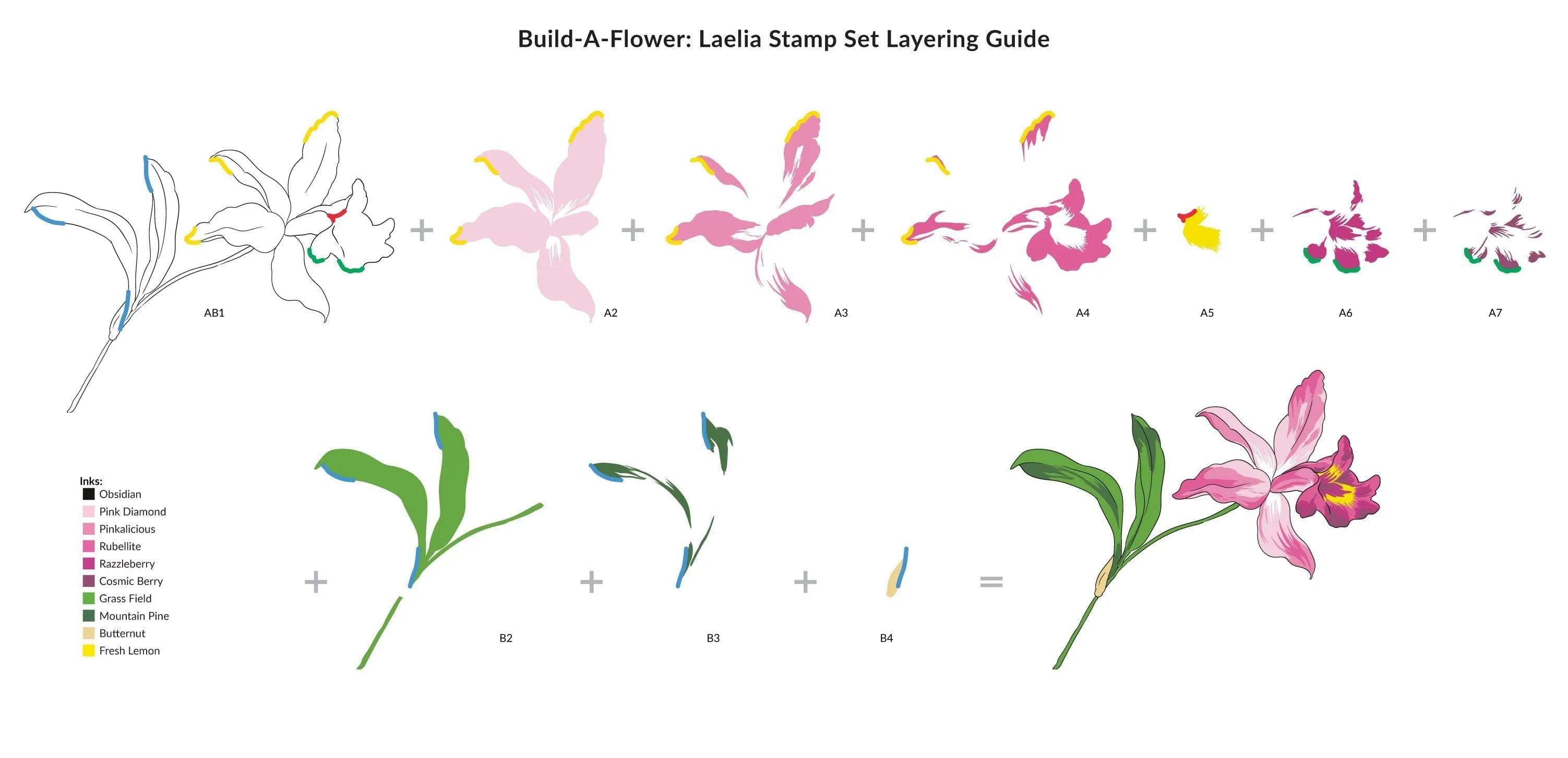 Build-A-Flower: Laelia Layering Stamp & Die Set