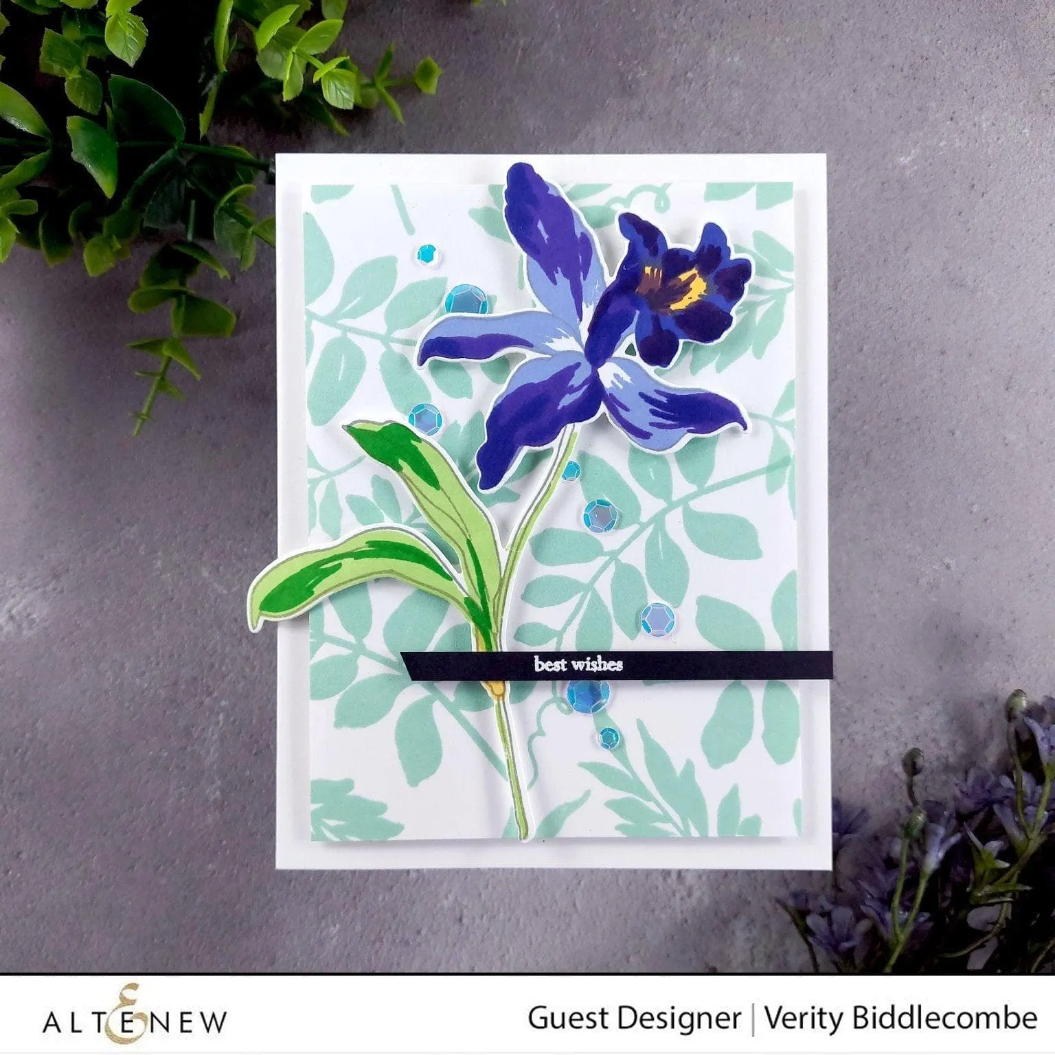 Build-A-Flower: Laelia Layering Stamp & Die Set