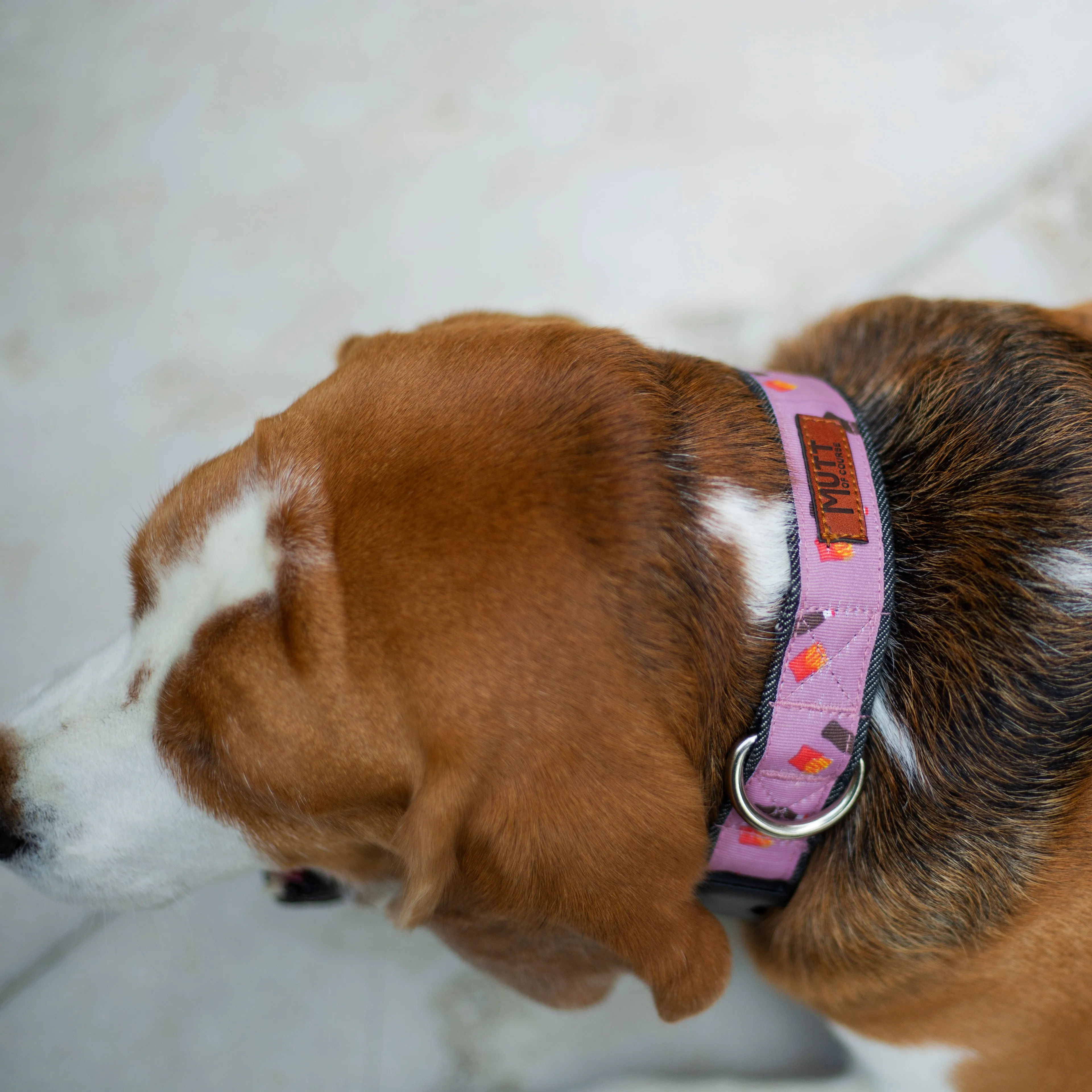 Cola N' Fries Denim Collar