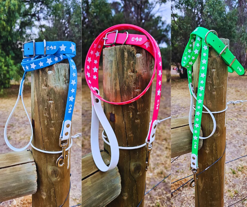 Collar & Ruff BioThane Print Heroic Horizons Dog Collar & Lead