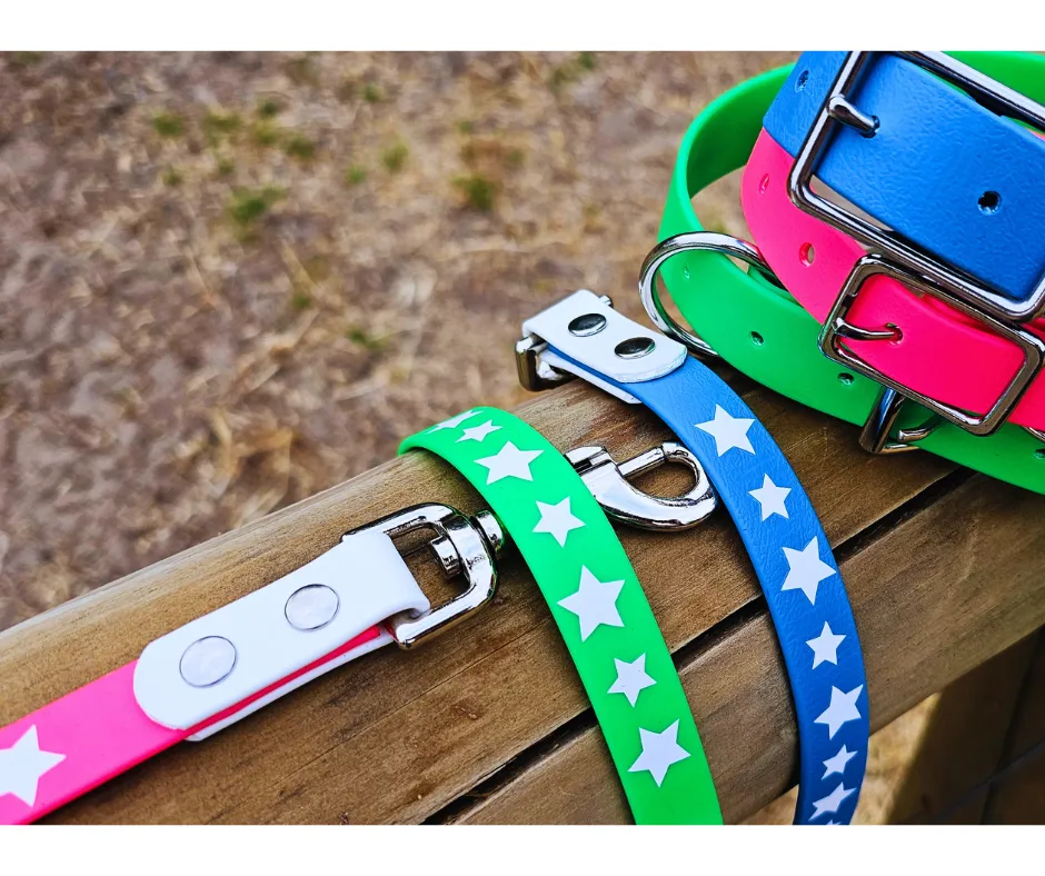 Collar & Ruff BioThane Print Heroic Horizons Dog Collar & Lead