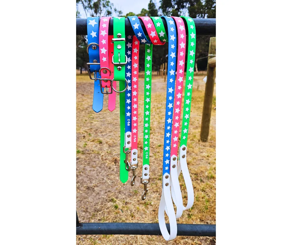 Collar & Ruff BioThane Print Heroic Horizons Dog Collar & Lead