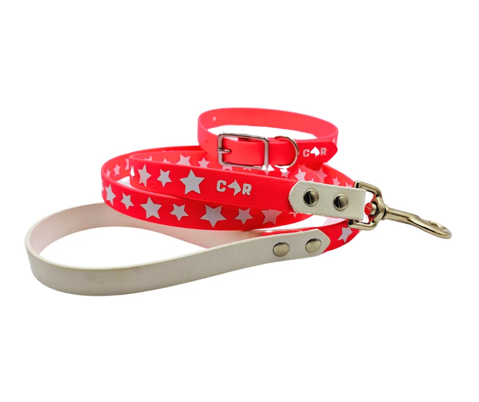 Collar & Ruff BioThane Print Heroic Horizons Dog Collar & Lead