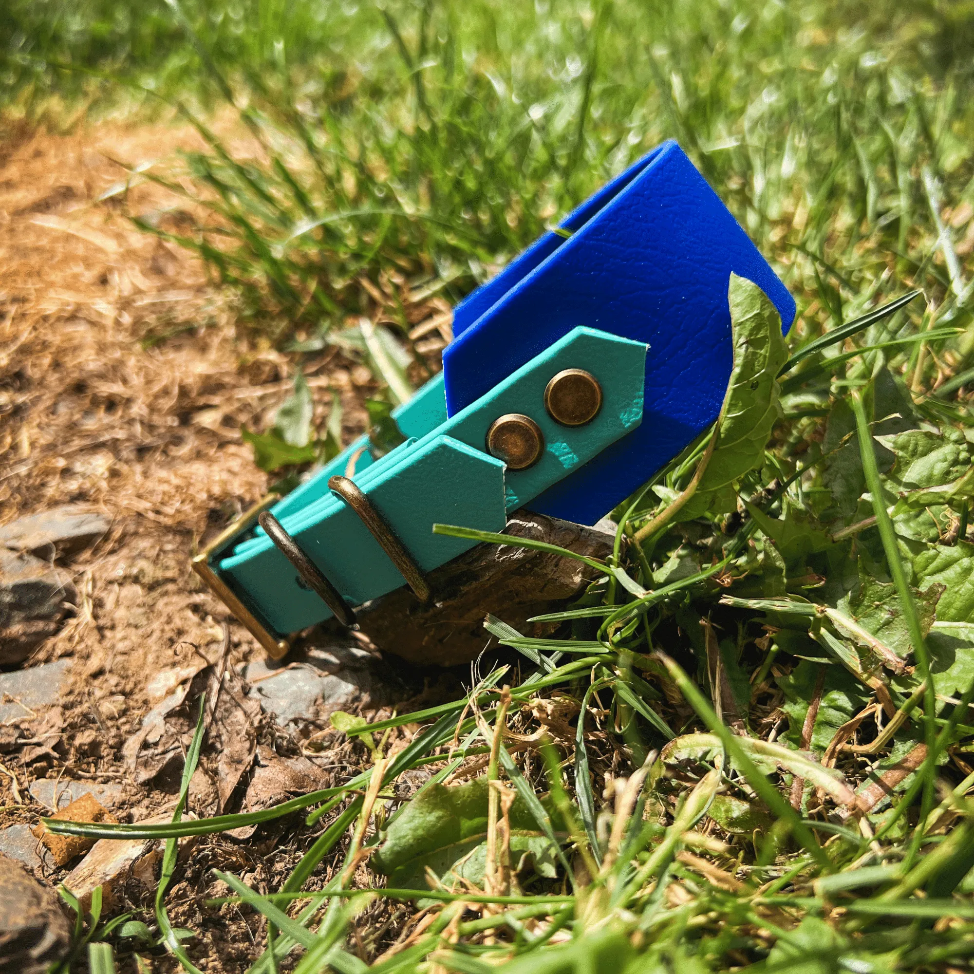 Custom Biothane Sight Hound Collar