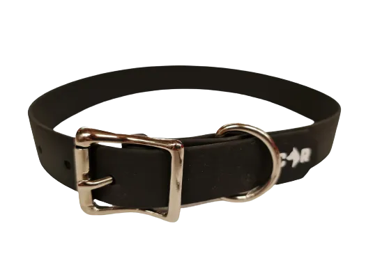 Dog Collar Standard