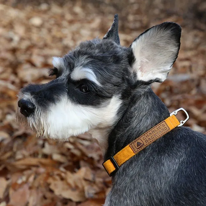 Easy Collar Yellow