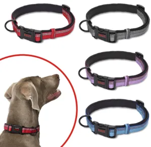 HALTI COLLAR LARGE
