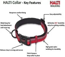 HALTI COLLAR MEDIUM