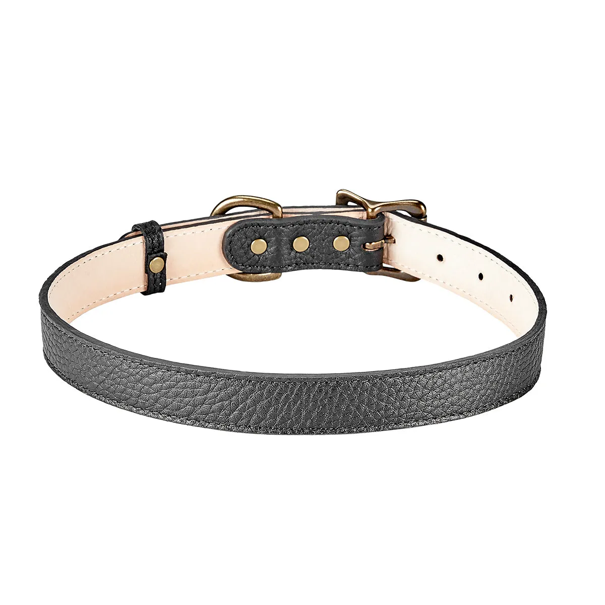 Large Dog Collar