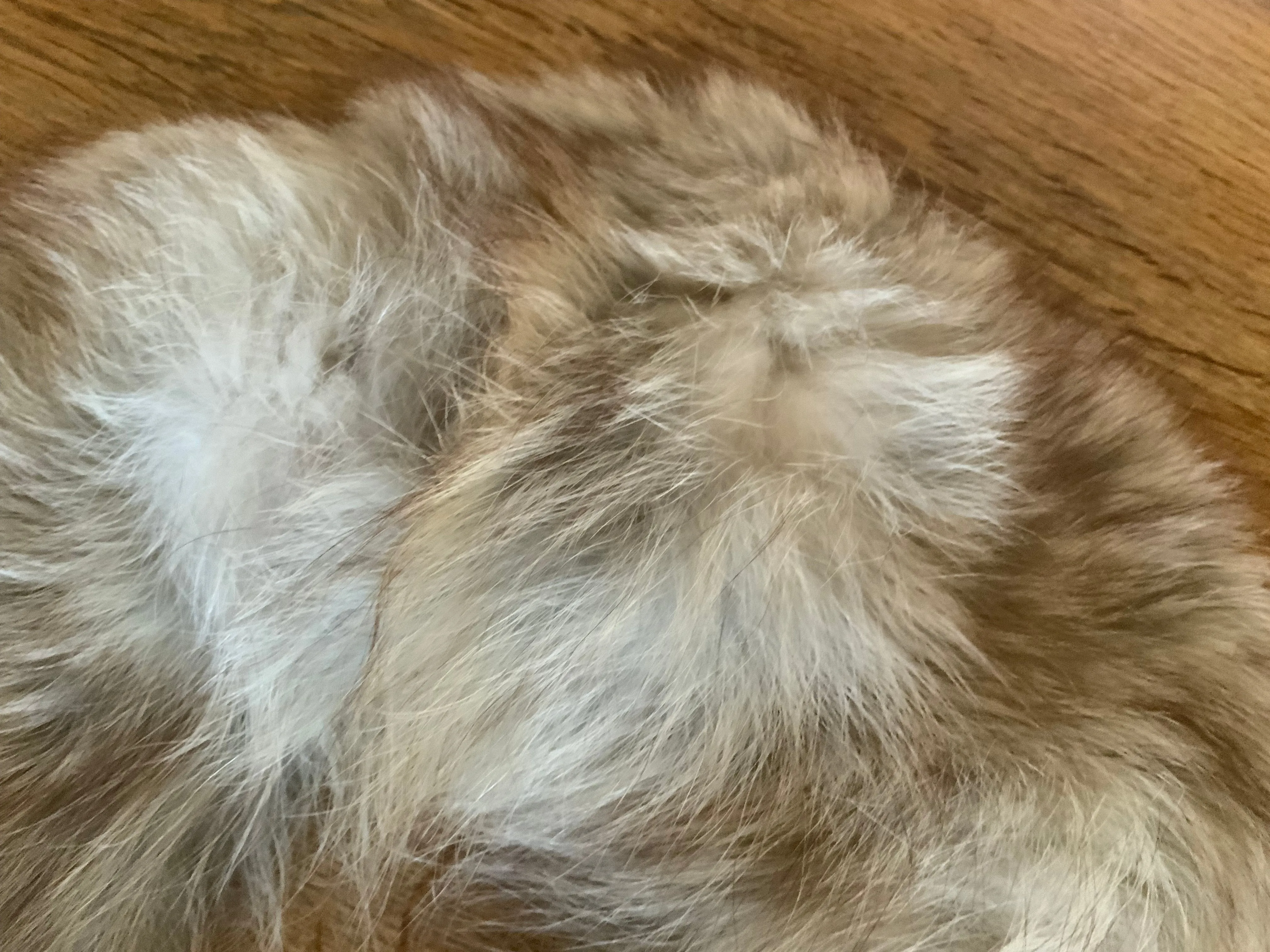 Mink Collar - 50s
