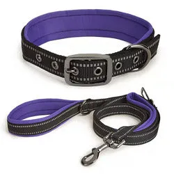 PAWS ASIA Wholesale New Waterproof Reflective Pet Dog Collar And Leash Harness Set With Bag