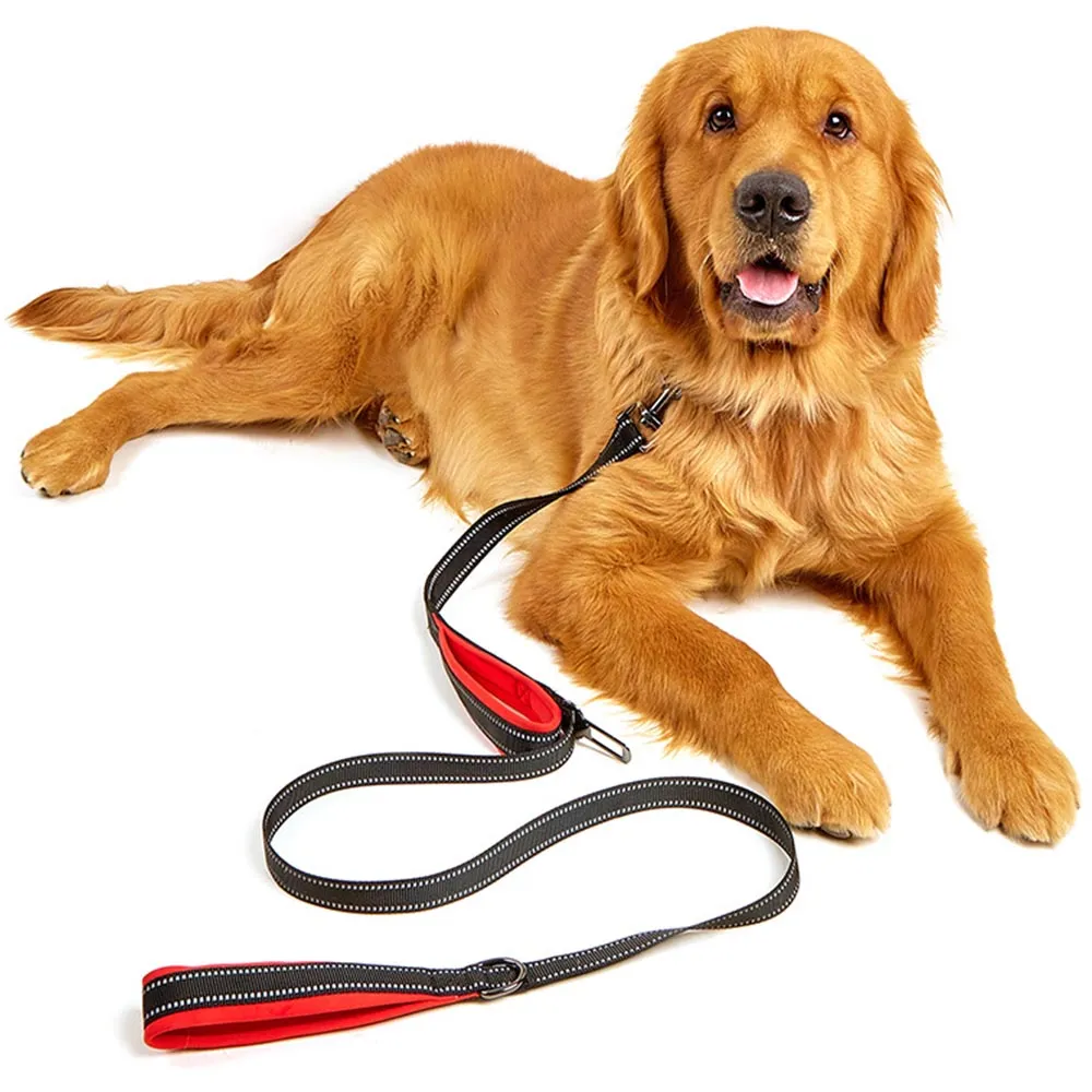 PAWS ASIA Wholesale New Waterproof Reflective Pet Dog Collar And Leash Harness Set With Bag