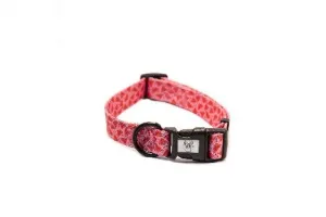 Pickles Watermelon Sugar Collar