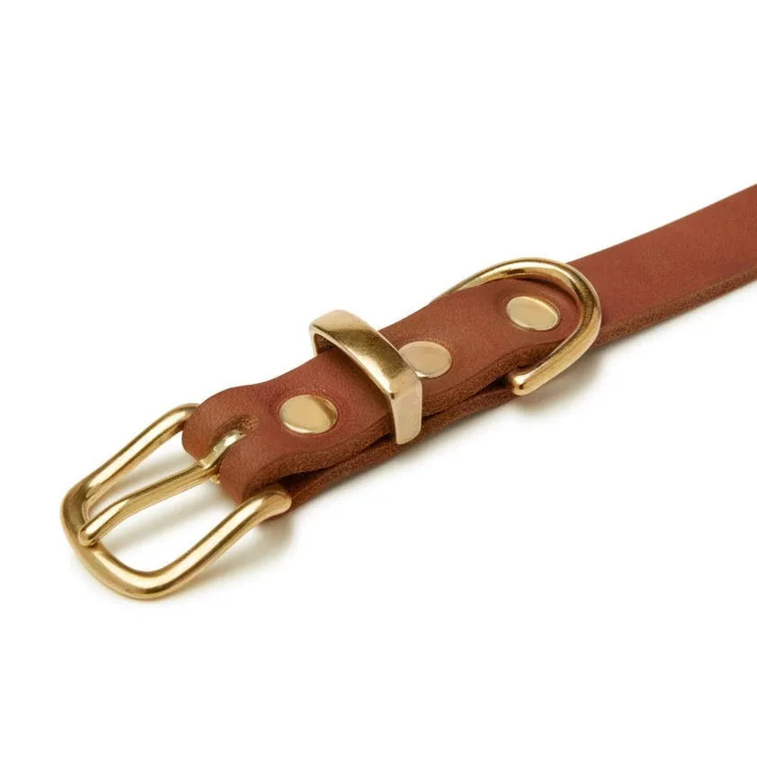 "Butter" Dog Collar - Sahara Cognac