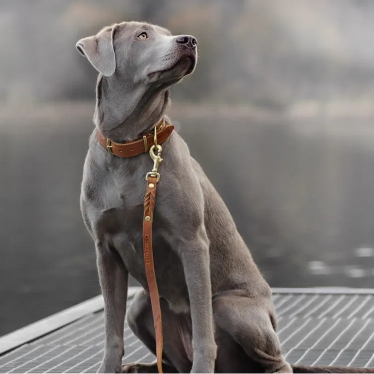 "Butter" Dog Collar - Sahara Cognac