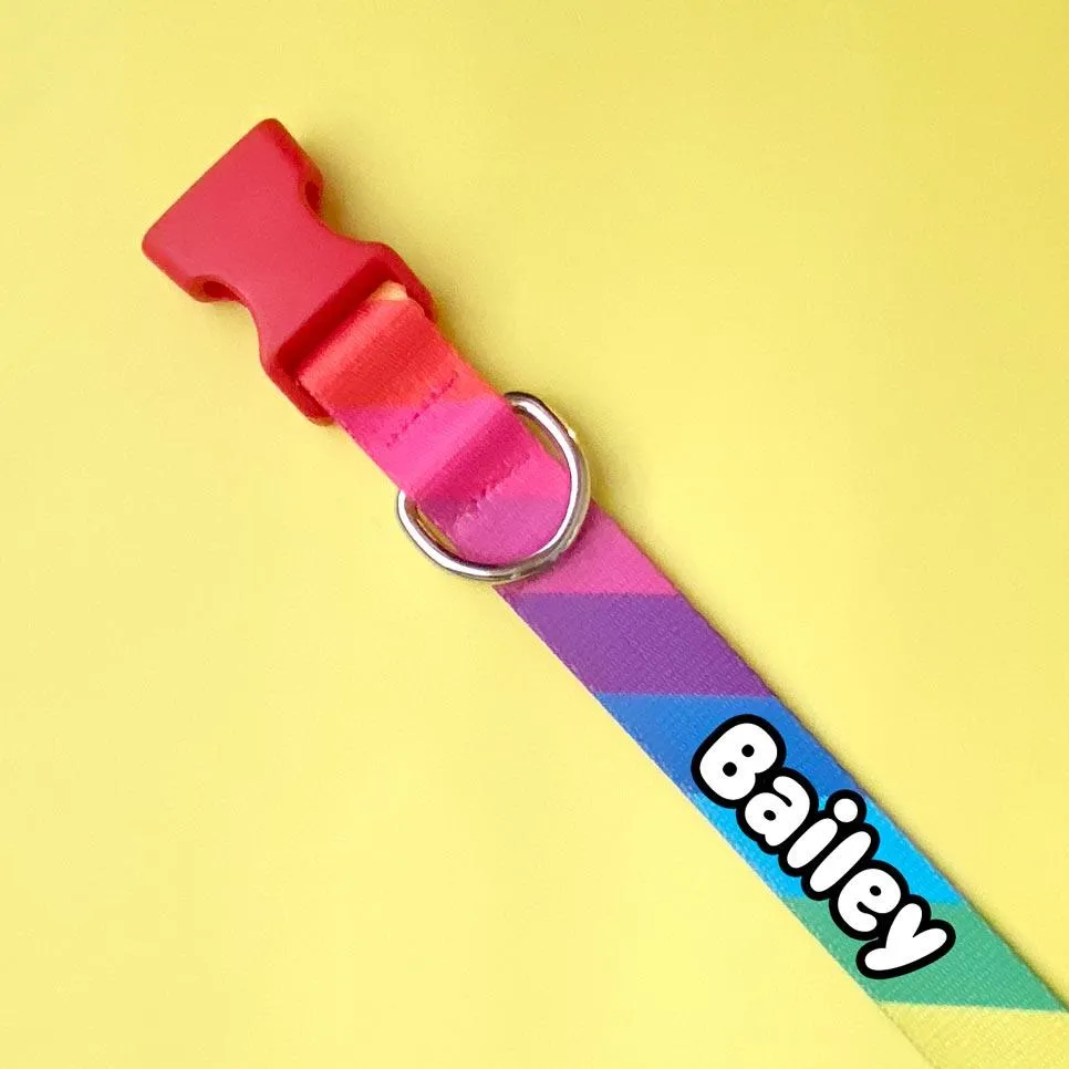 Rainbow Dog Collar