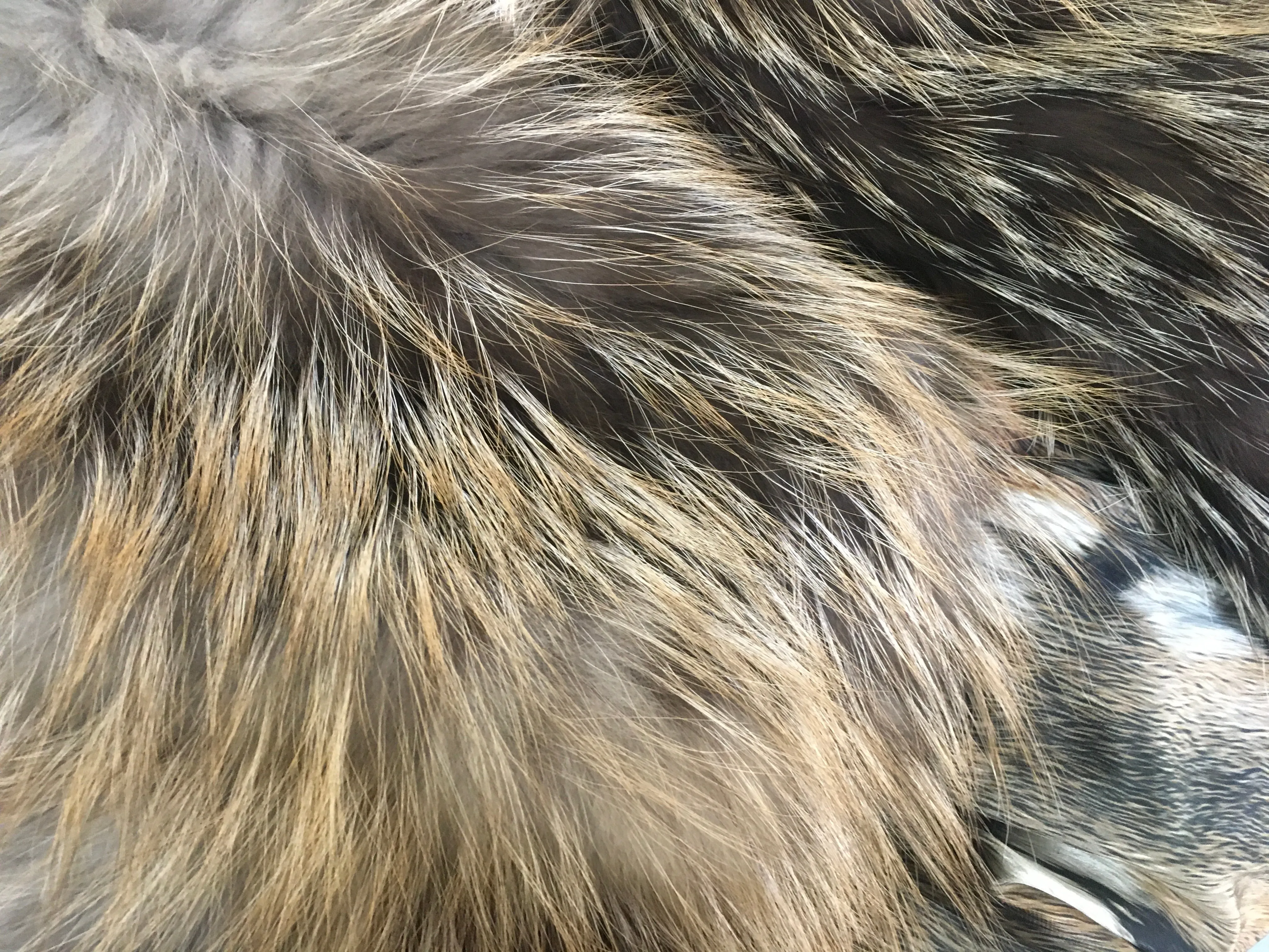 Roberto Cavalli Runaway Beige Fur Trim Coat Size I 40 UK 8 US 4 S SMALL ladies