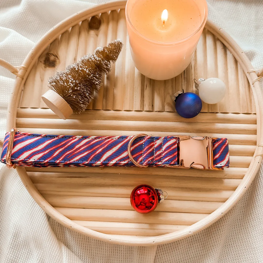 ROSE GOLD Buffalo Stripes Collar