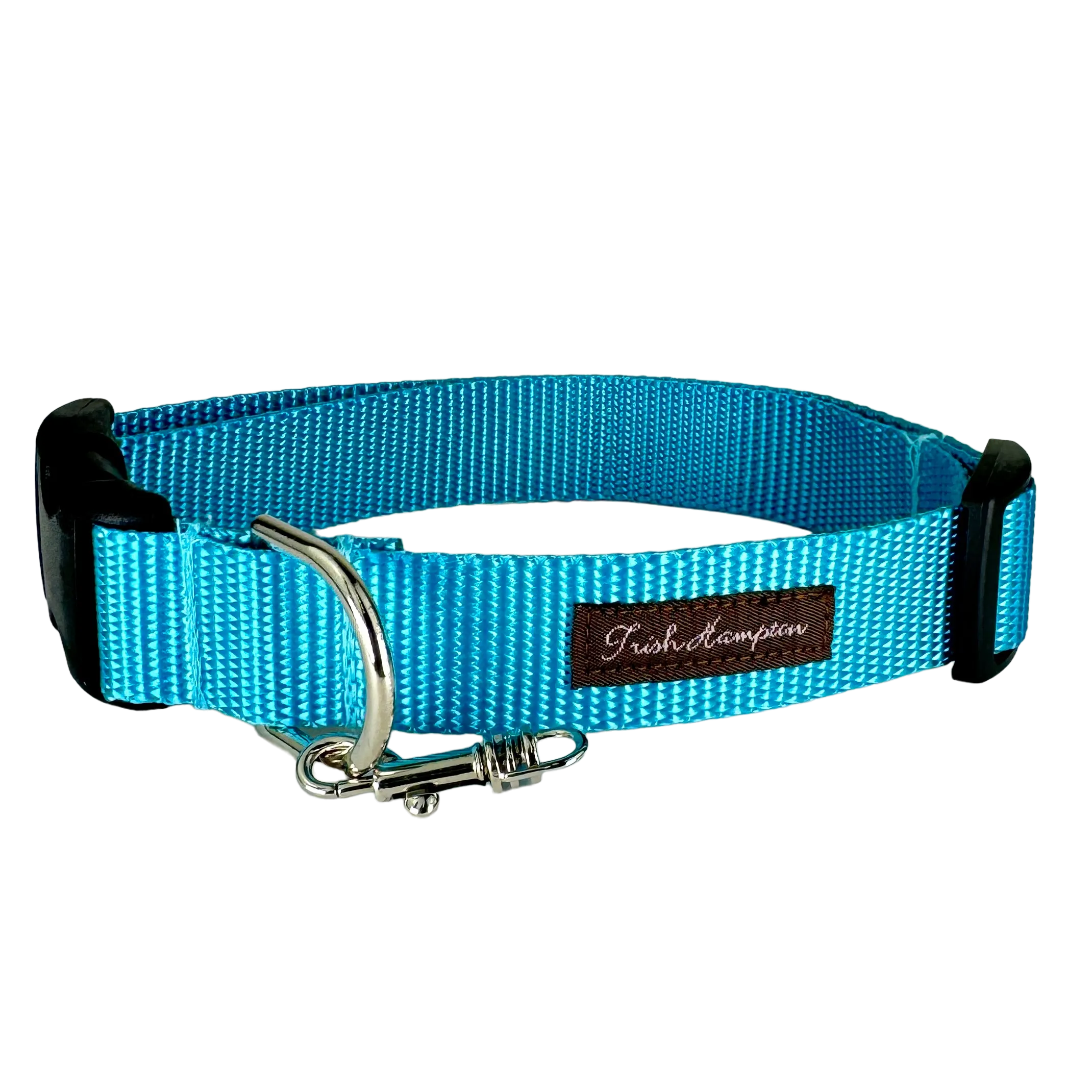 Turquoise/Aqua Nylon Webbing Dog Collar - 802