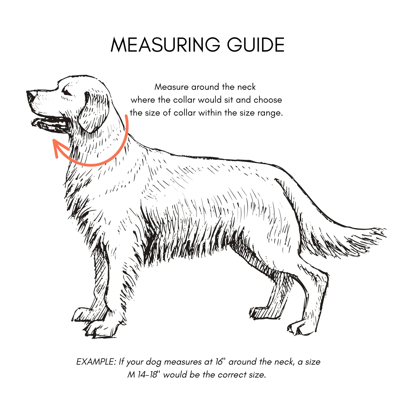 Walk By Good Boy - Biothane Collar - Bubblegum