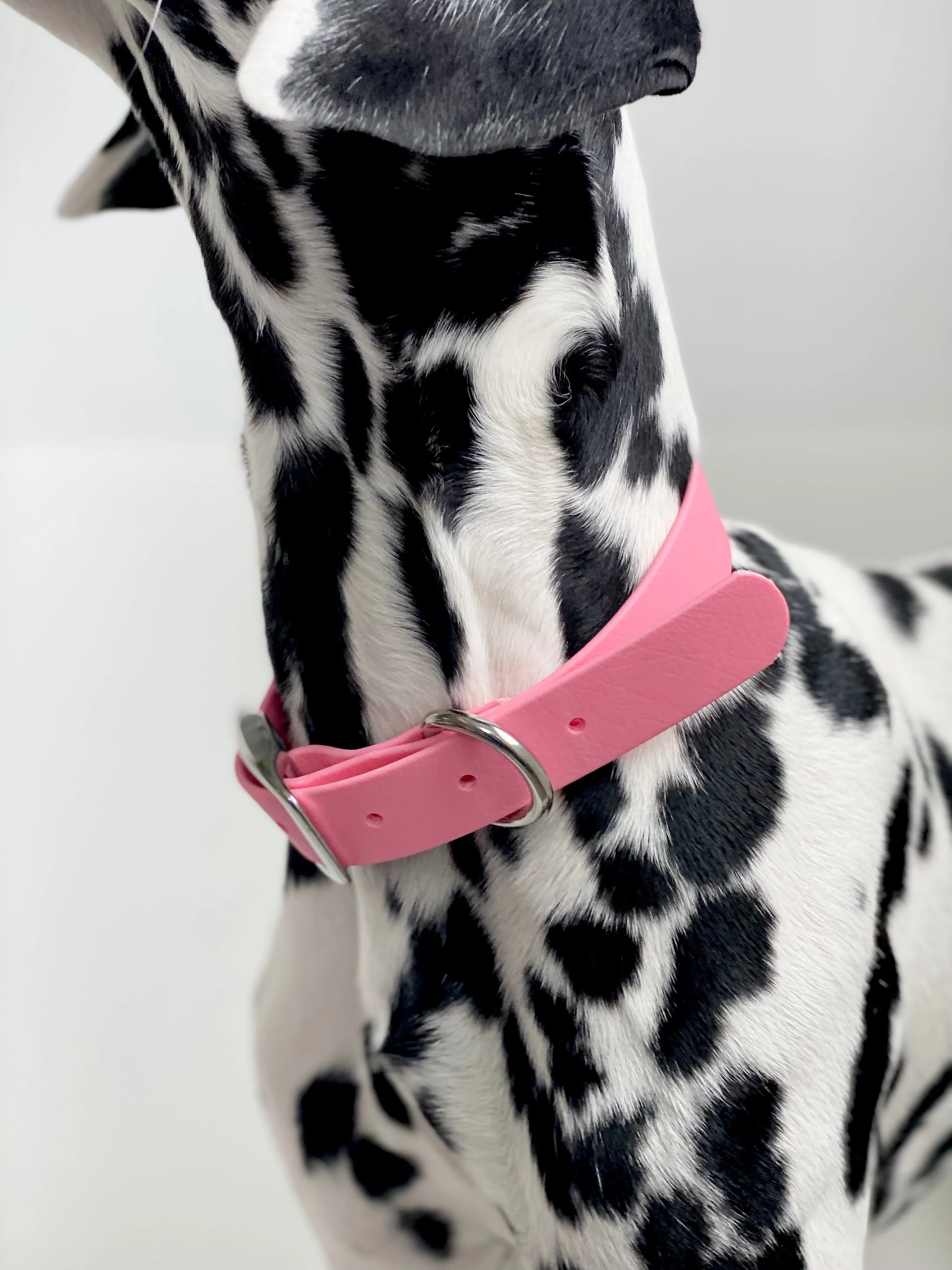 Walk By Good Boy - Biothane Collar - Bubblegum