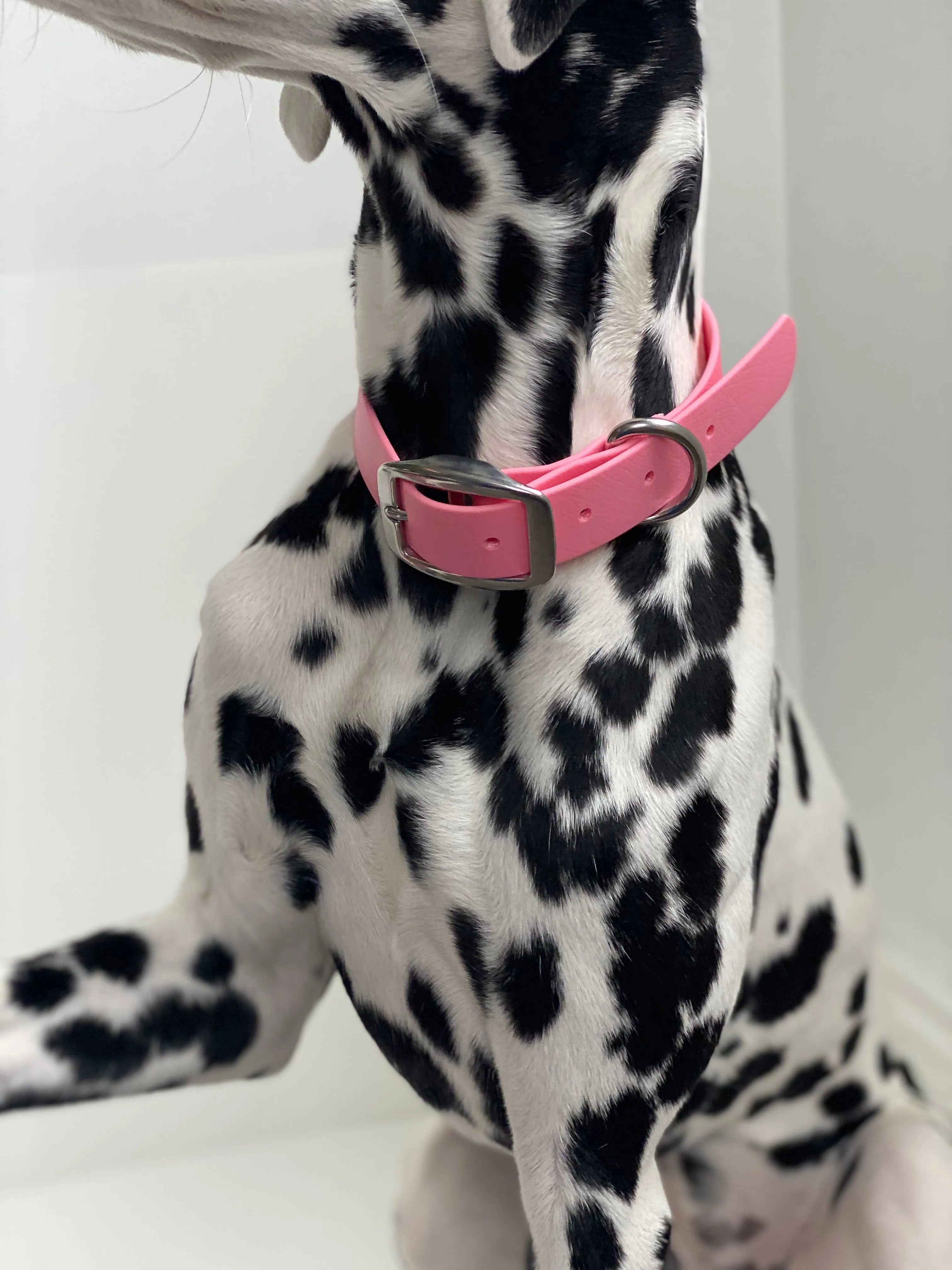 Walk By Good Boy - Biothane Collar - Bubblegum