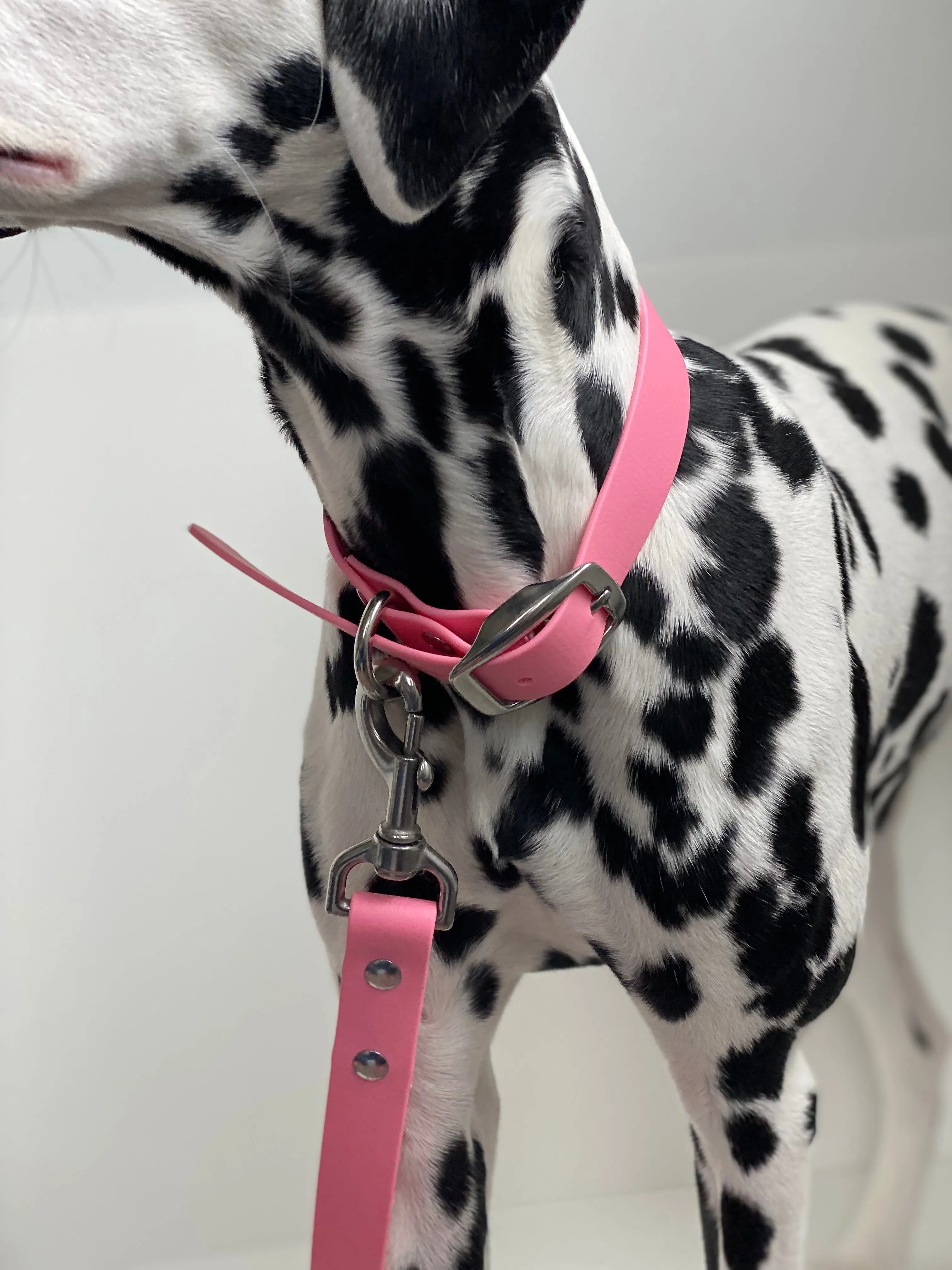 Walk By Good Boy - Biothane Collar - Bubblegum