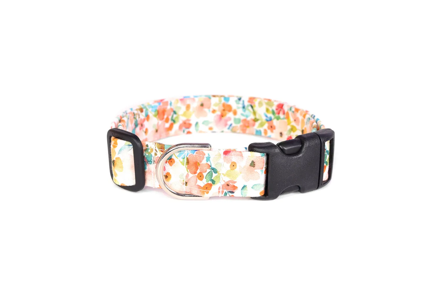 Watercolor Floral Dog Collar
